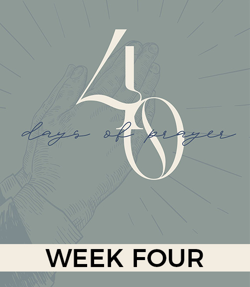 Humility & Obedience in my Life