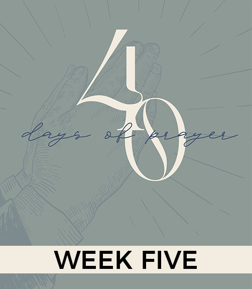 Obedience and Humility in Our Families