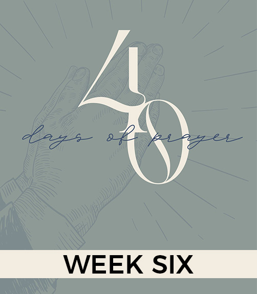 Humility & Obedience in the Church