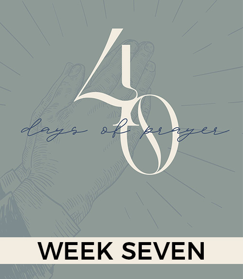 Humility & Obedience in our Neighborhoods